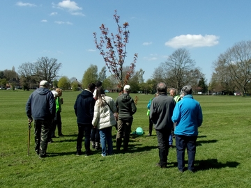 Elmdon Park tree walk